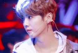 圈内爆料朱正廷和鹿晗,揭秘娱乐圈的神秘恋情